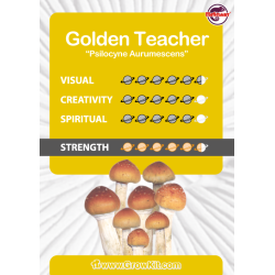 Golden Teacher - growkit