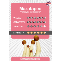 Mazatapec - growkit