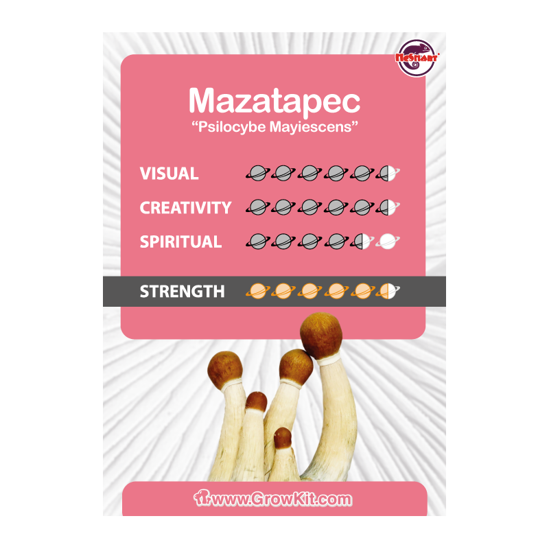 Mazatapec - growkit