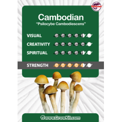 Cambodian - growkit