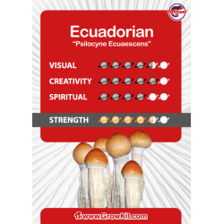 Ecuadorian - growkit